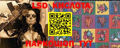 СК Кимры