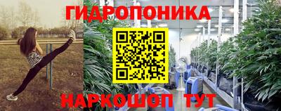 ГАЛЛЮЦИНОГЕННЫЕ ГРИБЫ Кинель