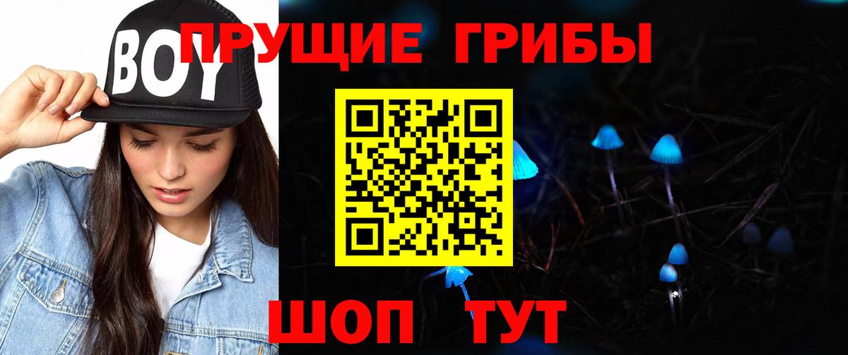 Дзержинск  Галлюциногенные грибы Magic Shrooms  Вход с VPN  Псилоцибиновые грибы Magic Shrooms 